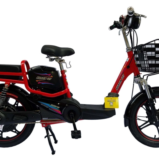                                      Xe đạp điện Martin EBM A1                                