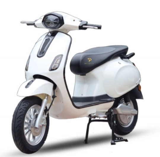                                      XE ĐIỆN EVGO VESPECT                                